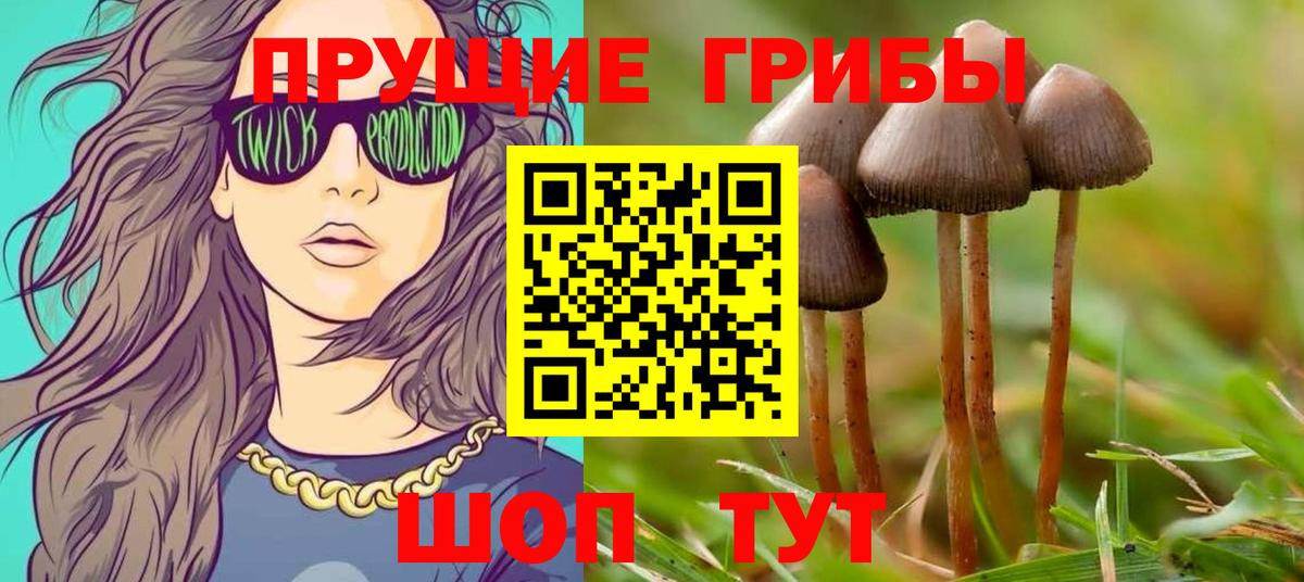 Галлюциногенные грибы MAGIC MUSHROOMS Батайск